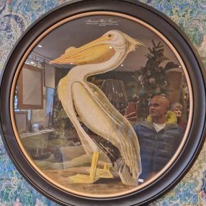 Round picture frame with Pelican